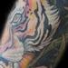 Prints-For-Sale - tiger sleeve 05 - 62472